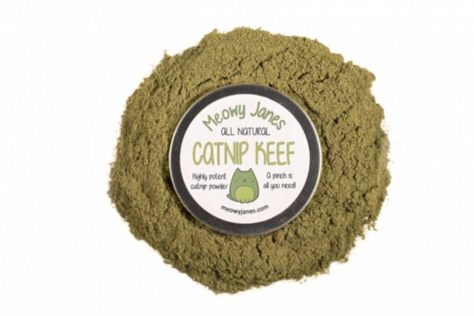 photo of powdered catnip