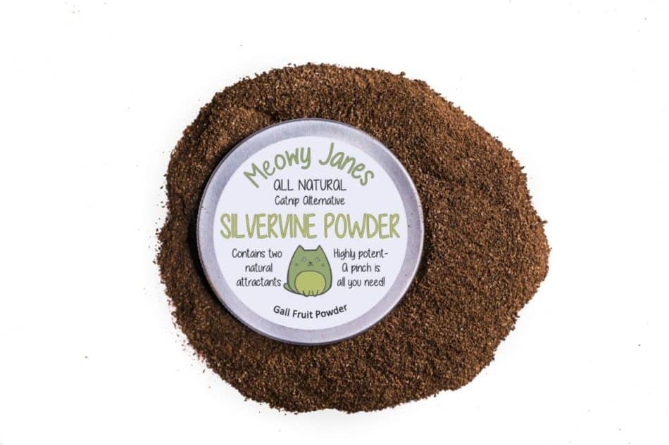 photo of Meowy Janes silver vine product