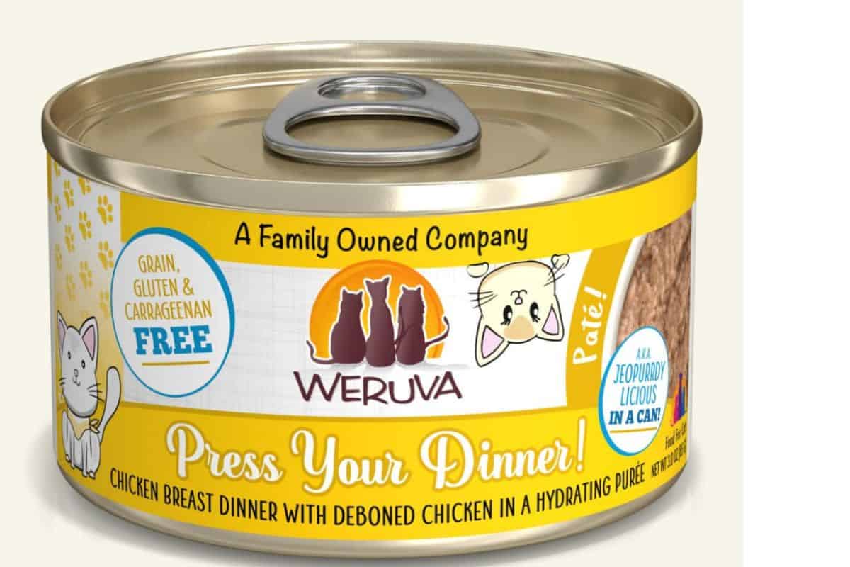 How To Feed My Cat If I Am Working Great Cat Info